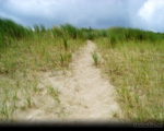 Cloudy Dune Route