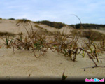 Katwijk aan Zee